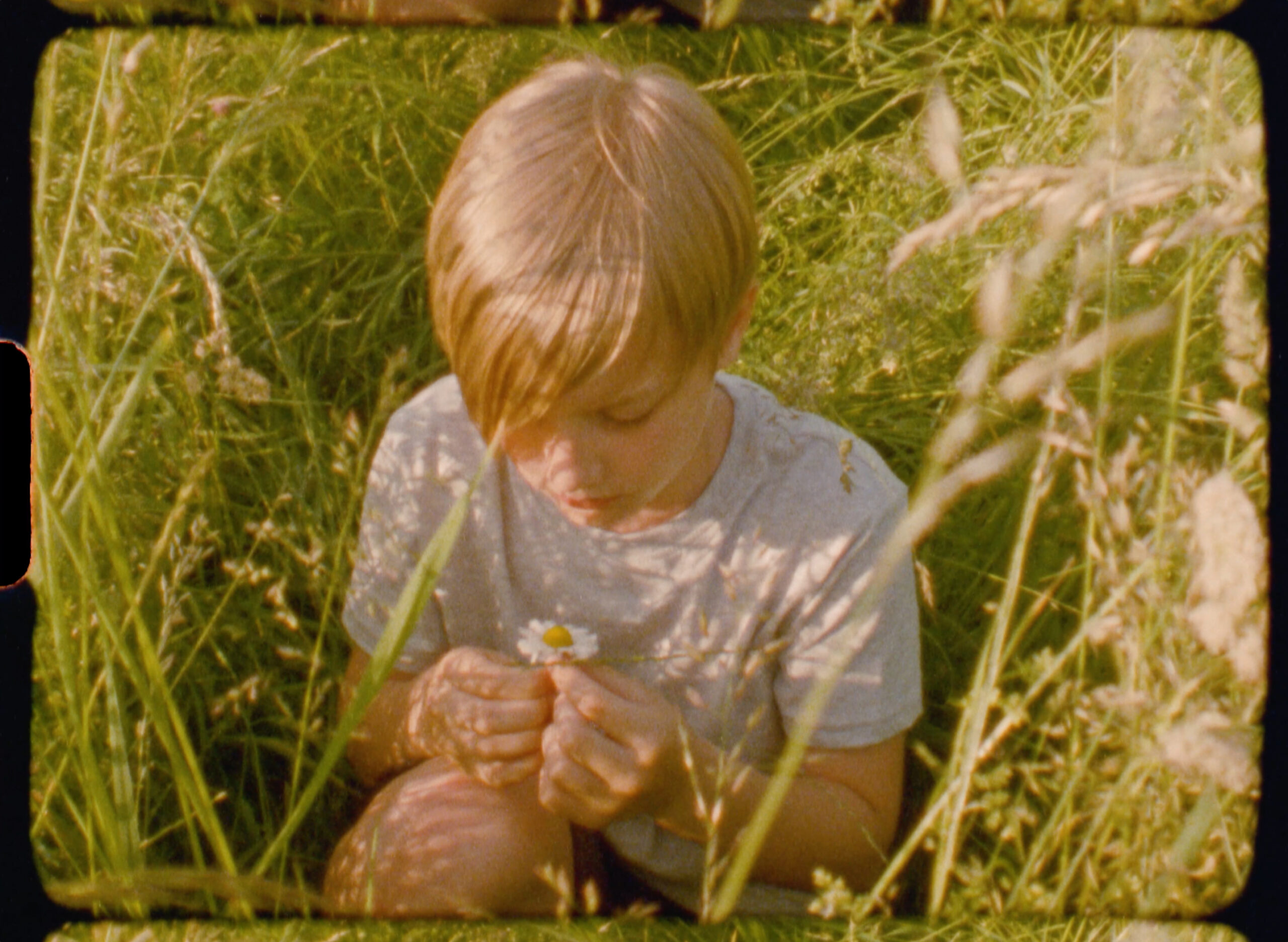 MJK_Media-Project-Bloom_Rabbit_Filmstill_5